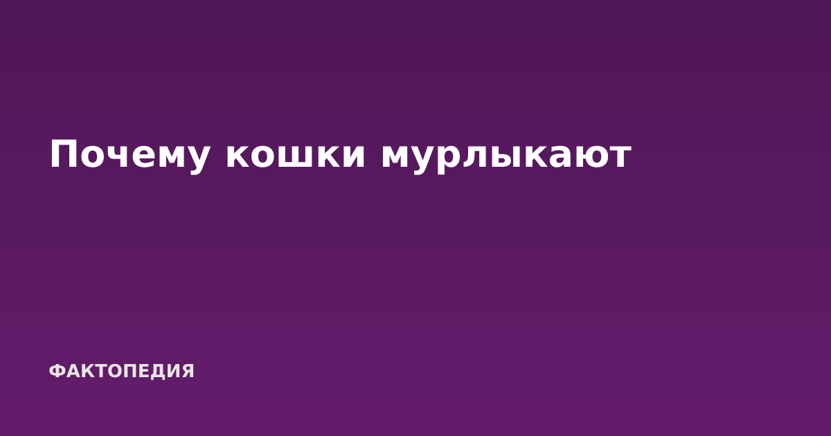 Почему кошки мурлыкают
