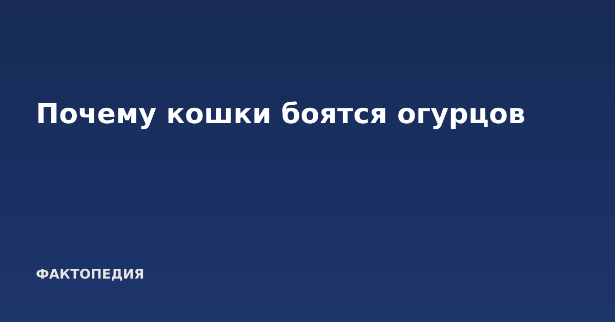 Почему кошки боятся огурцов